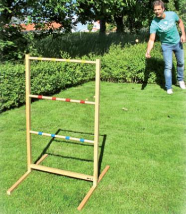 Spinladder