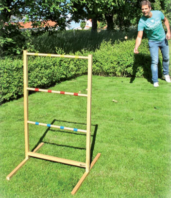 Spinladder